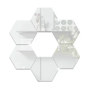 Silver Mirror